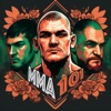 MMA 101 квиз icon