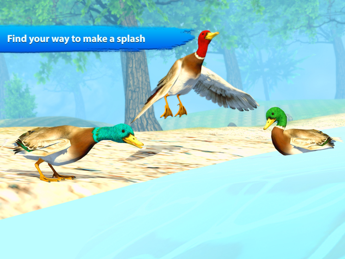 Flying duck family simulator