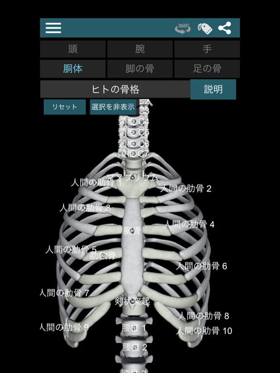 3D人骨（解剖学）のおすすめ画像4