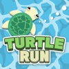 Turtle run!! icon