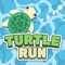 It's a game about the turtle's path, and you can draw a path so that you can safely go to your destination by avoiding obstacles