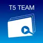 T5 Sales Force Team - Player