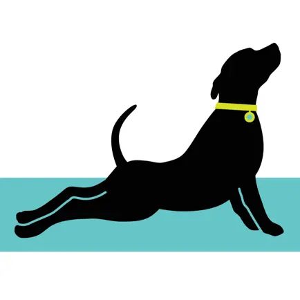 Updog Tulsa NEW Читы