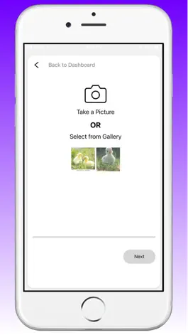Game screenshot Berry Doctor apk