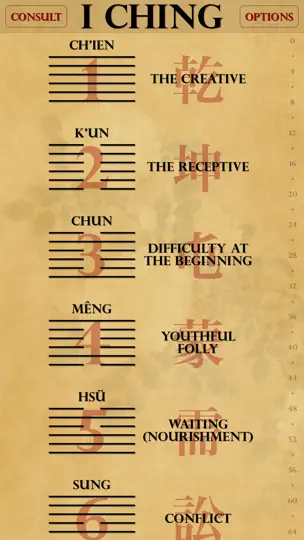 Capture d'écran de I Ching Lite sur iPhone 2
