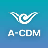 인천공항 A-CDM