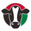 Italian Dairy icon