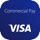 Visa Commercial Pay