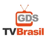 GDS Tv Brasil App Problems