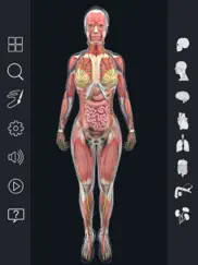 human anatomy ipad resimleri 4