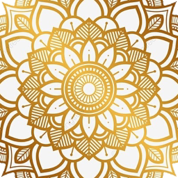 Mandala Maker 360 Pro app icon