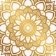 Mandala Maker 360 Pro app icon - Graphics & Design app for iPhone