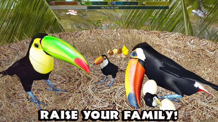 Ultimate Bird Simulator screenshot-3