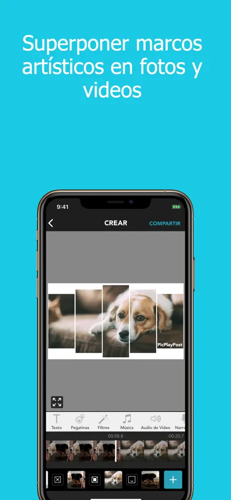 PicPlayPost - Video Editor