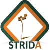 STRIDA icon
