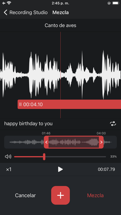 Grabadora de Voz Pro - Audio screenshot 5