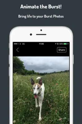 Game screenshot Burst - Animate your photos apk