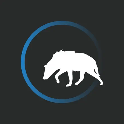 Virtual Creator Читы