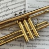 Trumpractice