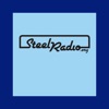 SteelRadio icon