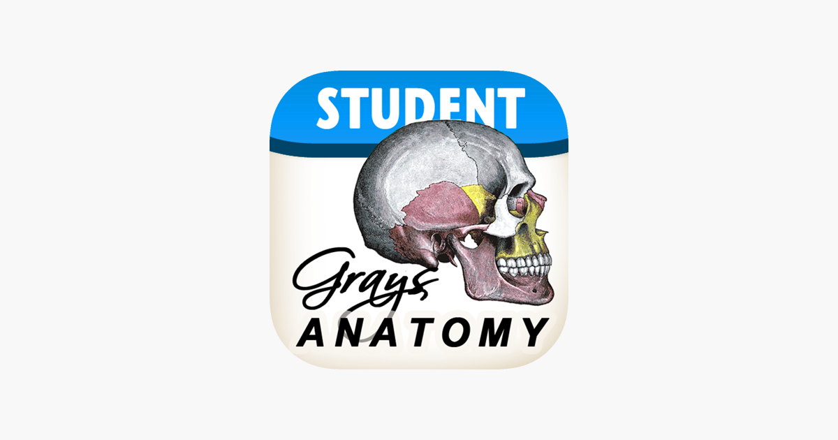 Anatomy Nurse Stickers - Medical Stickers Study Guide
