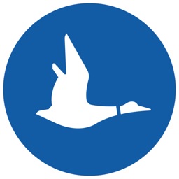 Blue Duck Scooter icon