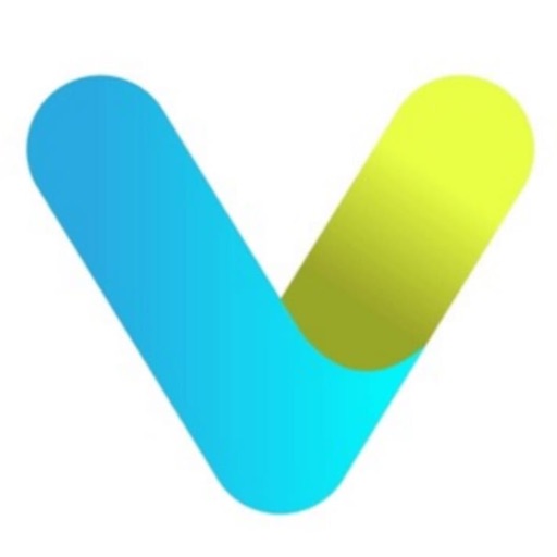 THE V icon