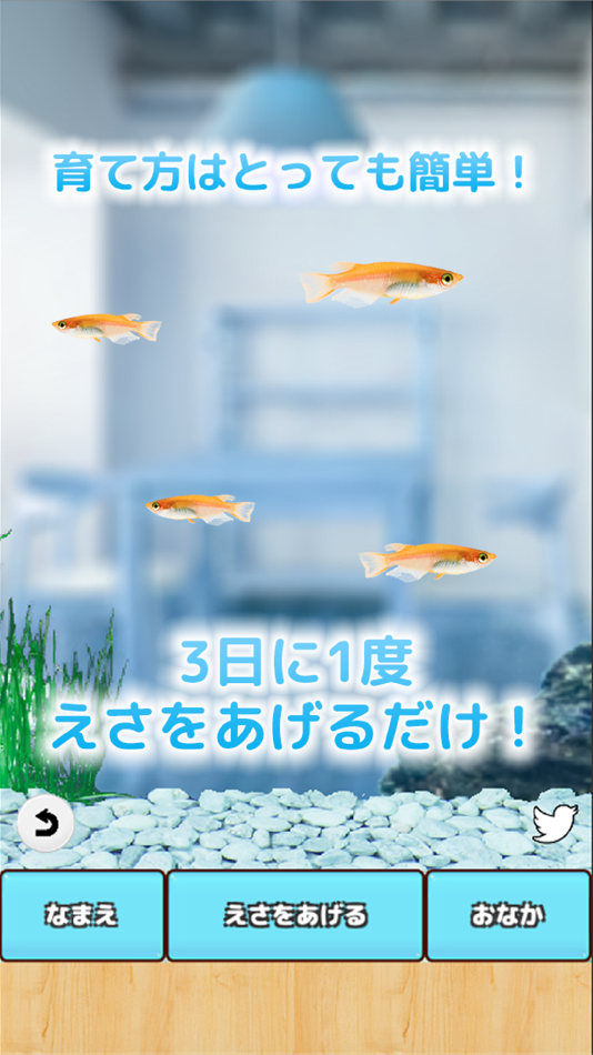 #2. メダカ育成げーむ (iOS) 由: Canvas soft