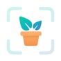 Plants Air - Plant Identifier app download