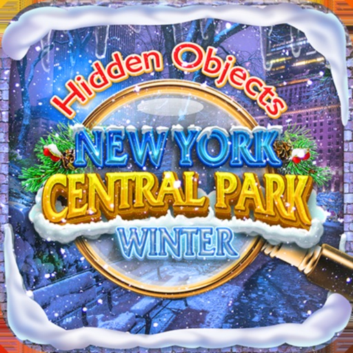 Hidden Objects New York Winter