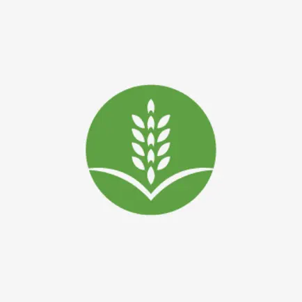 Bright Field Church Читы