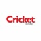 Icon Cricket Today