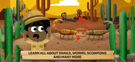 Bugs 2: What Are They Like?