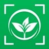 Plant Capture and info‬ icon