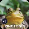 Frog Sounds Ringtones App Support