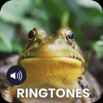 Frog Sounds Ringtones App Contact