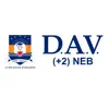 DAV College +2 (NEB) contact information