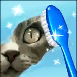 Toothbrush Fun Timer App Cancel