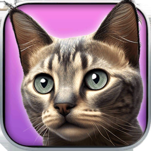 My Kitten (Cat Simulator) iOS App