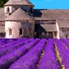 Provence’s Best: Travel Guide - iPadアプリ