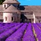 PROVENCE'S BEST is the ideal travel guide to France’s  sun-drenched traveler’s paradise