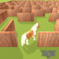 Pony Horse Maze Run