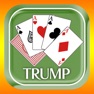 Get トランプ Vol.1【ゲームバラエティー】 for iOS, iPhone, iPad Aso Report