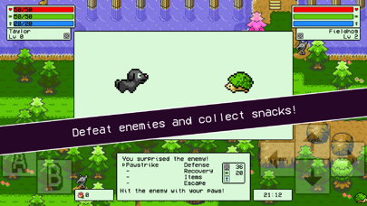 Turn-based Taylor - Retro RPG Screenshot