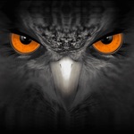 Download EagleEyes-plus app