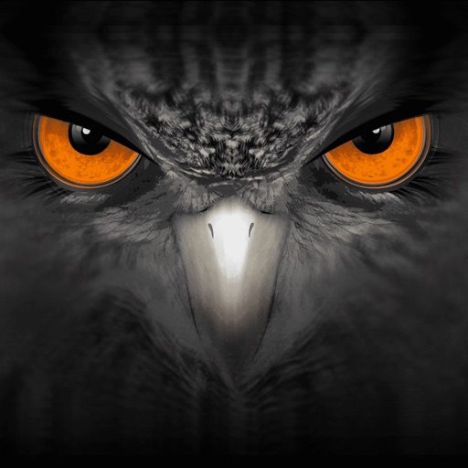 EagleEyes