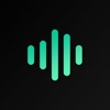 Icon Hearing Amplifier clir Voice