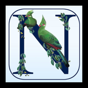 Newman’s Birds of Africa