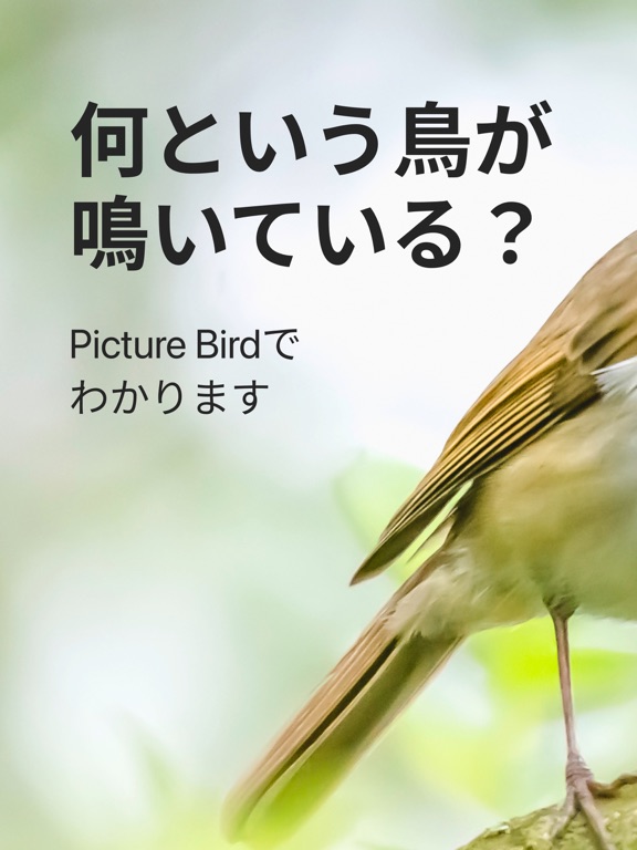 Picture Bird - 撮ったら、判る--1秒鳥図鑑のおすすめ画像1
