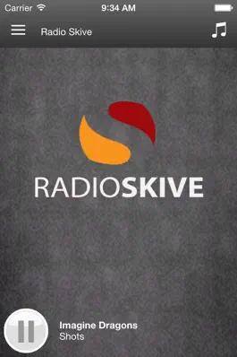Game screenshot Radio Skive mod apk
